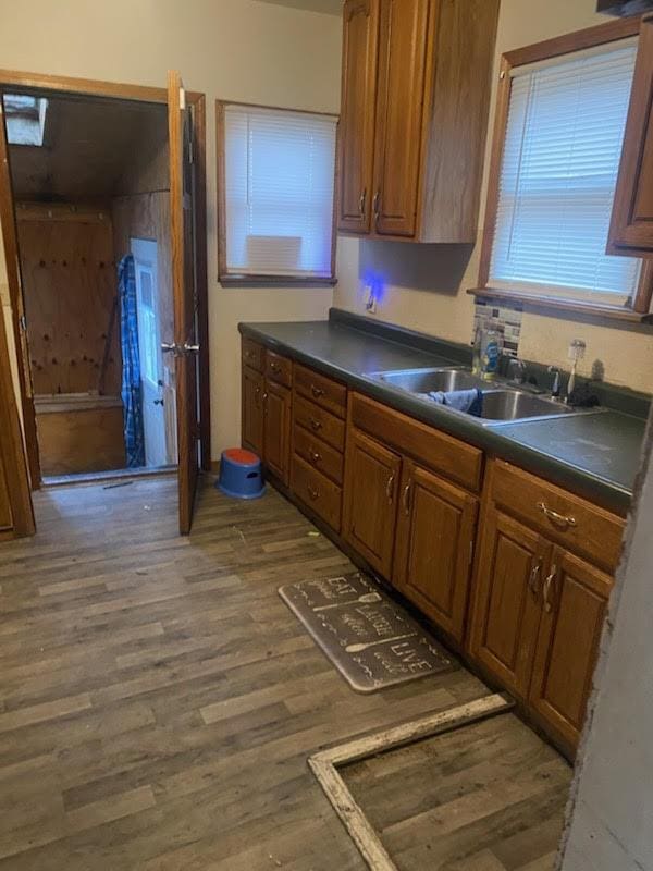 kitchen with dark hardwood / wood-style floors and sink