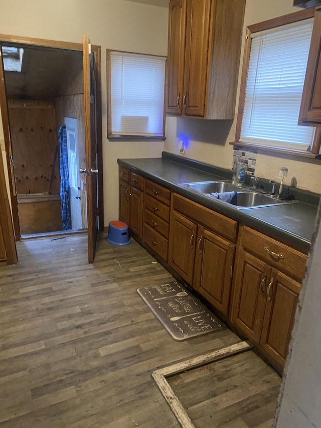 kitchen with sink and dark hardwood / wood-style floors