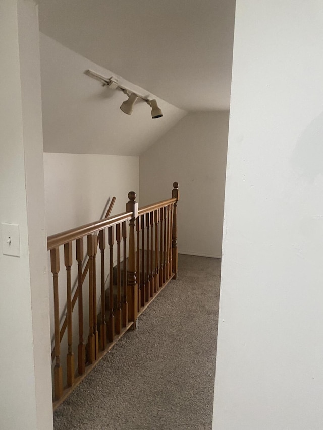 stairs with carpet floors and vaulted ceiling