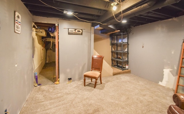 basement featuring carpet floors