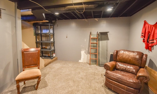 basement featuring carpet