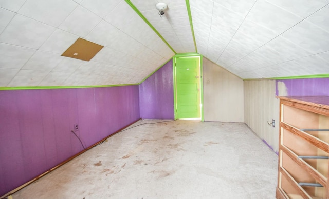 bonus room with lofted ceiling