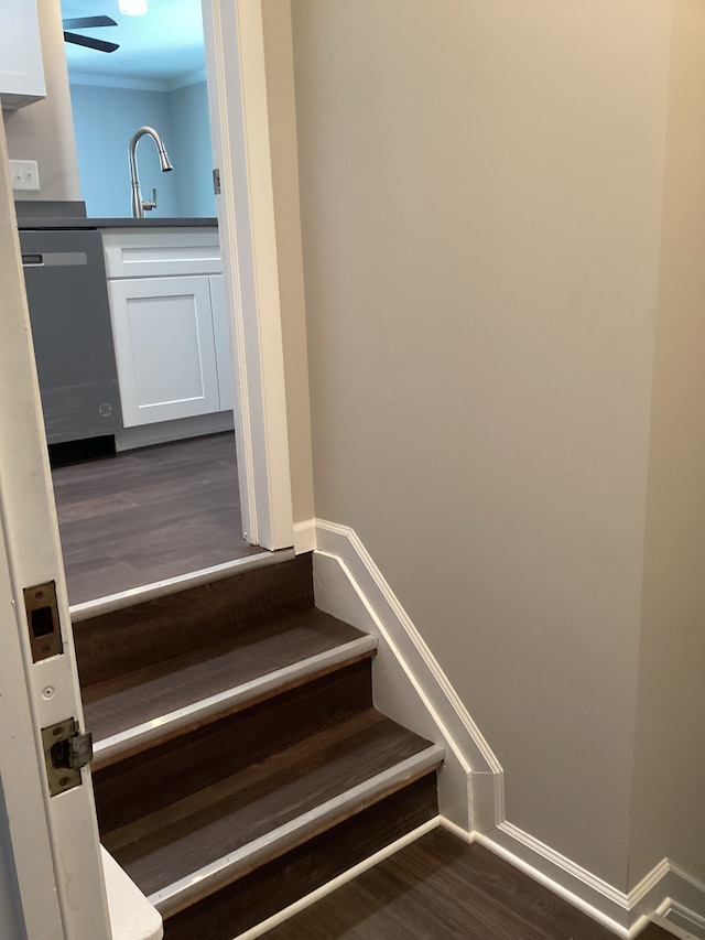 stairs with hardwood / wood-style flooring, crown molding, and sink