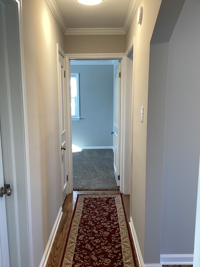 hall featuring ornamental molding and dark hardwood / wood-style floors