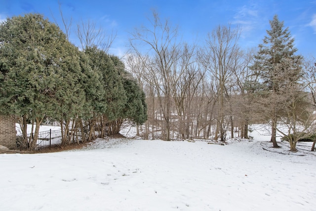 view of yard layered in snow