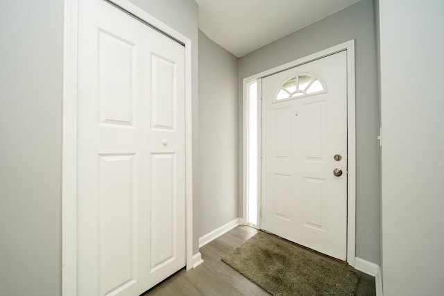 entrance foyer featuring wood-type flooring