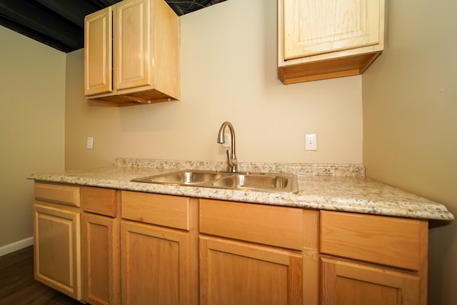 kitchen with sink and dark hardwood / wood-style floors