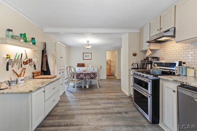 kitchen with white cabinetry, stainless steel appliances, tasteful backsplash, light stone counters, and wood-type flooring