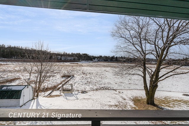 view of yard covered in snow