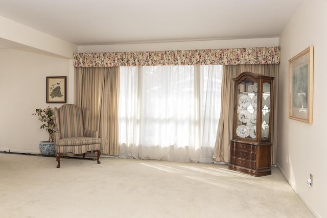 sitting room with carpet