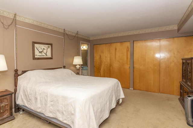 carpeted bedroom with two closets