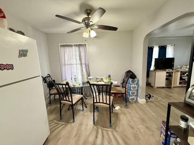 dining room with ceiling fan and light hardwood / wood-style flooring