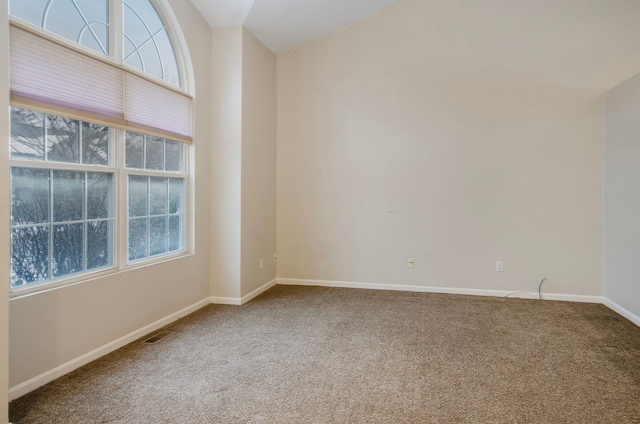 spare room with carpet floors