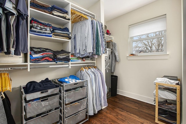 spacious closet with dark hardwood / wood-style flooring