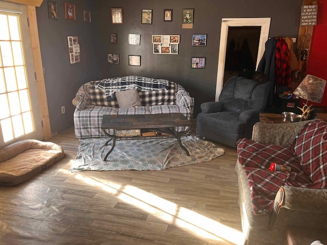 living room with wood-type flooring and plenty of natural light