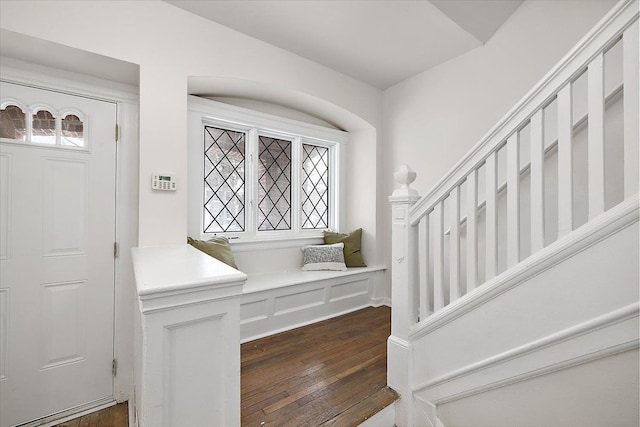 foyer entrance featuring plenty of natural light and dark hardwood / wood-style floors