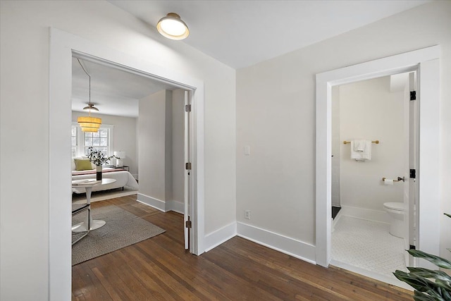 hallway with dark wood-type flooring