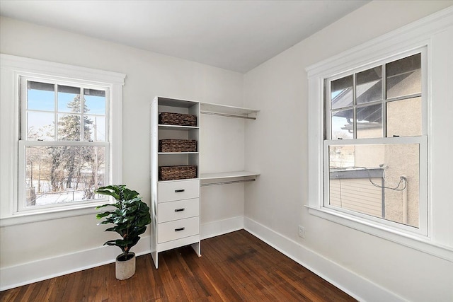 spacious closet with dark hardwood / wood-style flooring