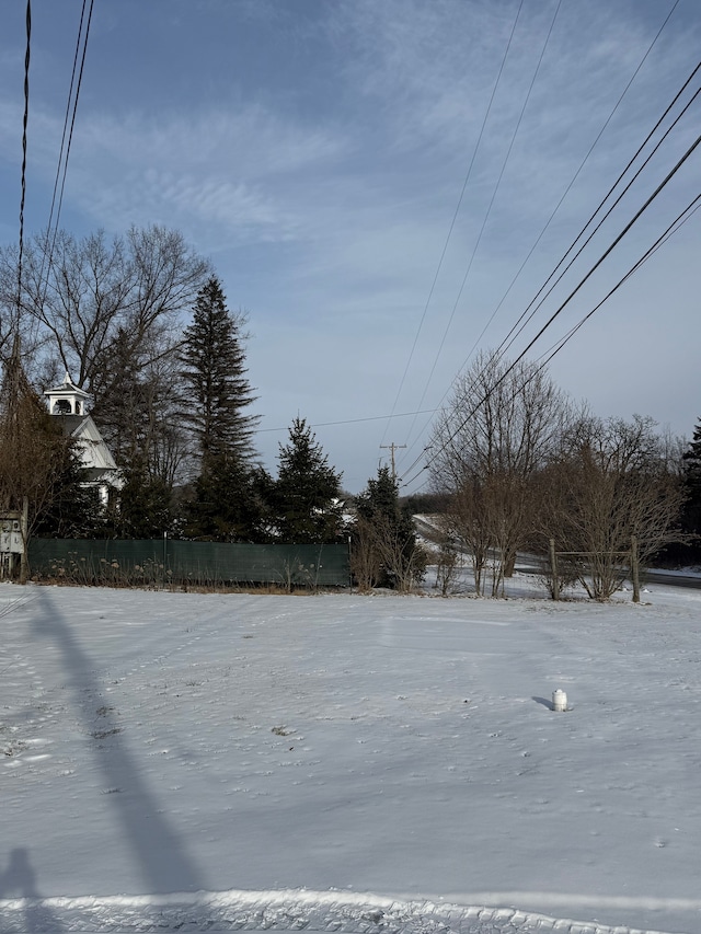 view of yard covered in snow