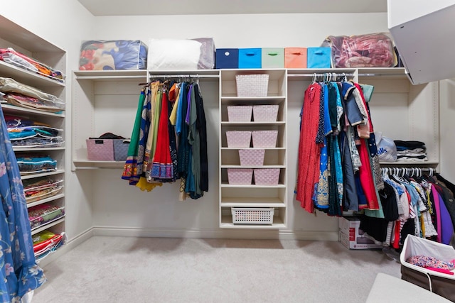 spacious closet with carpet floors