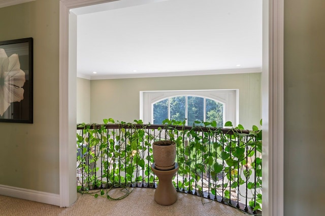 corridor featuring crown molding and carpet floors