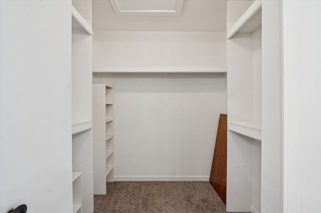 spacious closet with carpet flooring