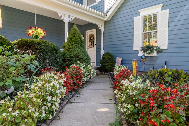 property entrance featuring covered porch