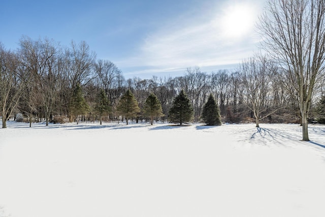 view of snowy yard