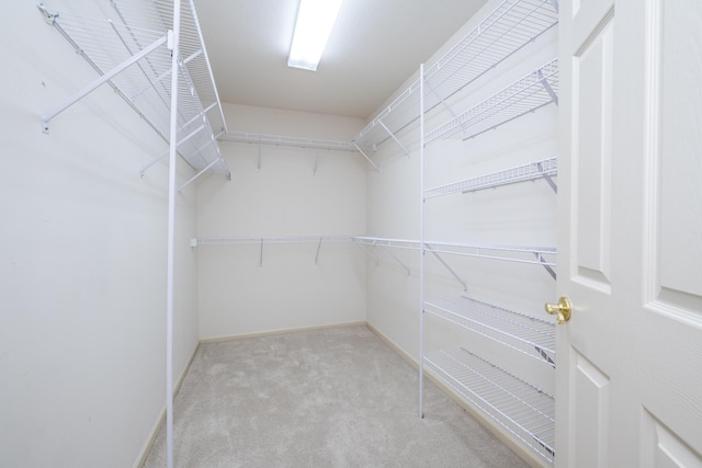 spacious closet with light colored carpet