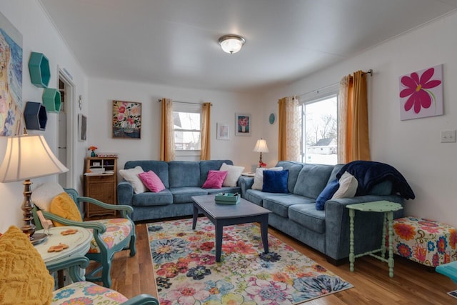 living room with light wood-type flooring