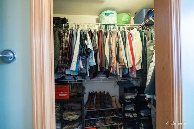 view of walk in closet