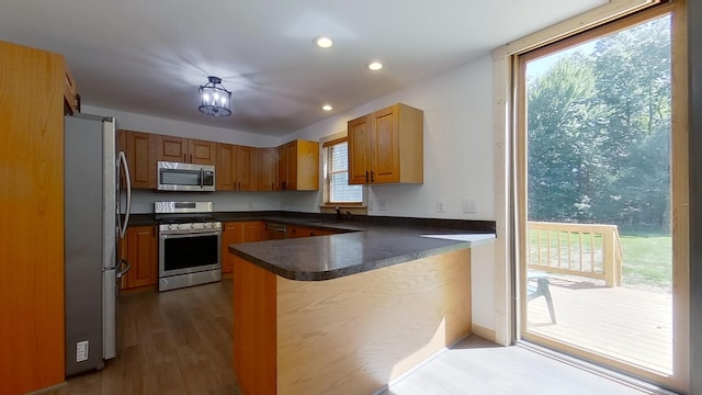 kitchen with stainless steel appliances, dark hardwood / wood-style floors, kitchen peninsula, and sink