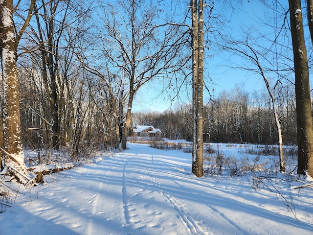 view of yard covered in snow