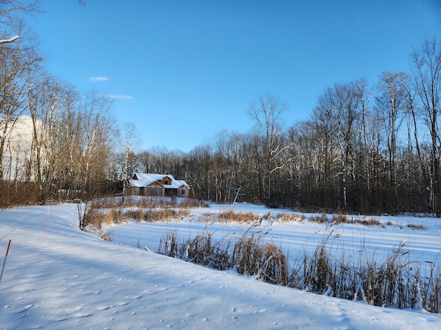 view of yard layered in snow