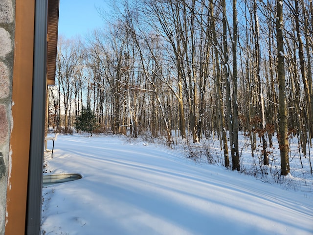 view of yard layered in snow