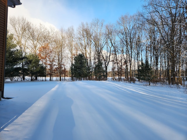 view of snowy yard