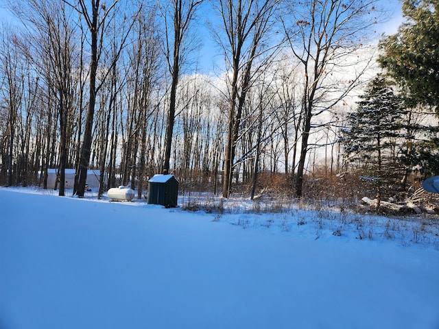 view of snowy yard