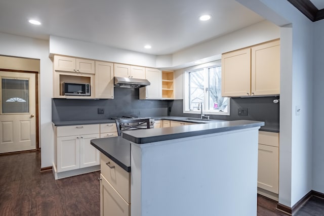 kitchen with under cabinet range hood, dark wood-type flooring, stove, a sink, and stainless steel microwave