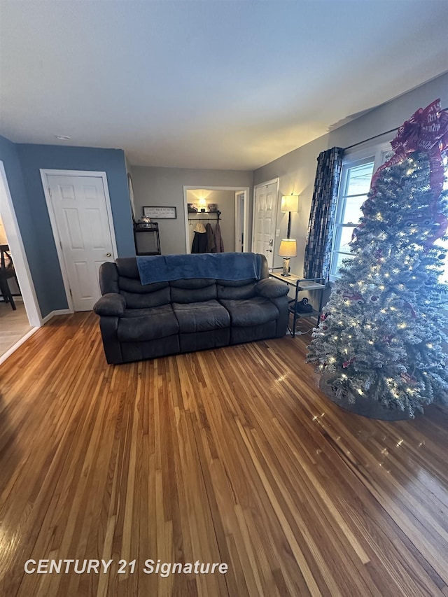 living room with wood-type flooring