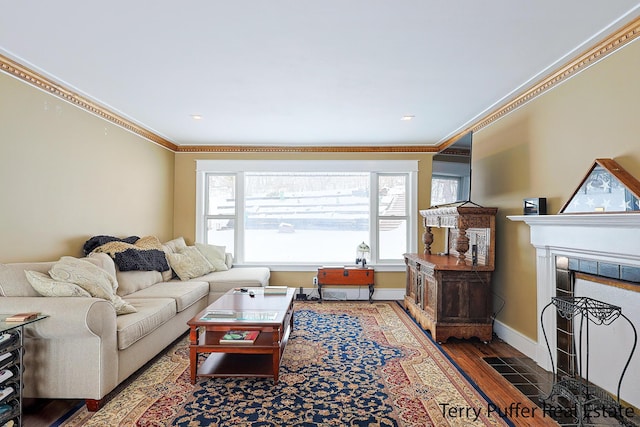 living room featuring a tiled fireplace, crown molding, and dark hardwood / wood-style floors