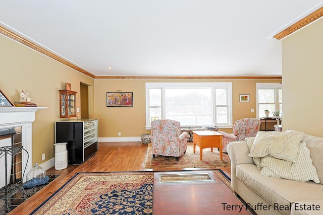 living room featuring crown molding and hardwood / wood-style floors