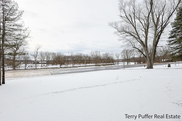 view of yard covered in snow