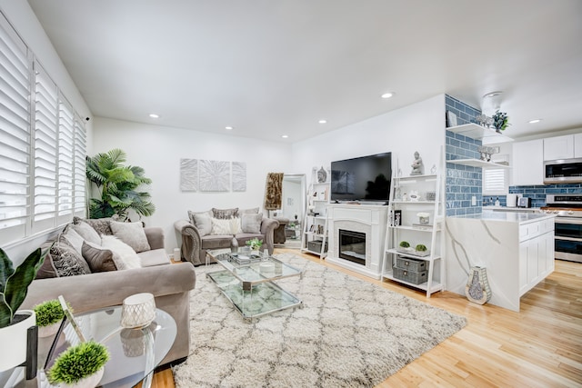 living room featuring light hardwood / wood-style flooring and a healthy amount of sunlight