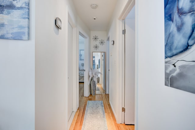 hallway featuring light hardwood / wood-style flooring