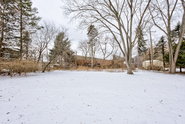 view of snowy yard