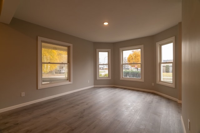 unfurnished room featuring hardwood / wood-style floors and a wealth of natural light