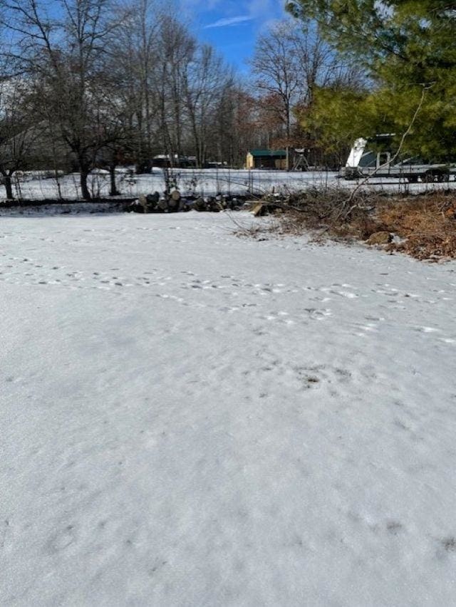 view of snowy yard