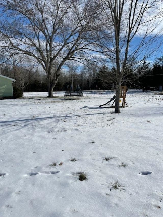 view of yard covered in snow