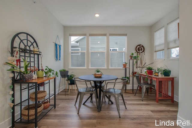 dining space featuring hardwood / wood-style flooring