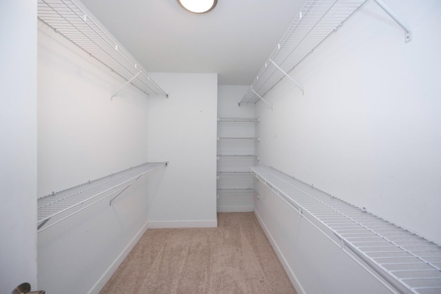 spacious closet with light colored carpet